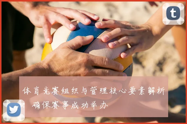 体育竞赛组织与管理核心要素解析：确保赛事成功举办