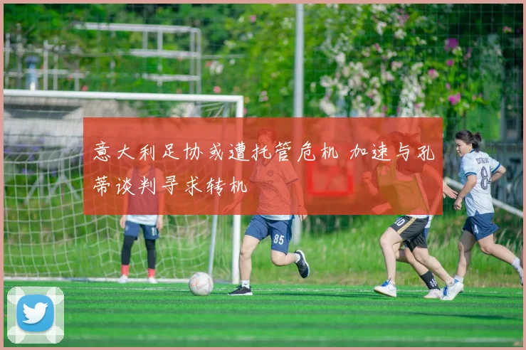 意大利足协或遭托管危机 加速与孔蒂谈判寻求转机